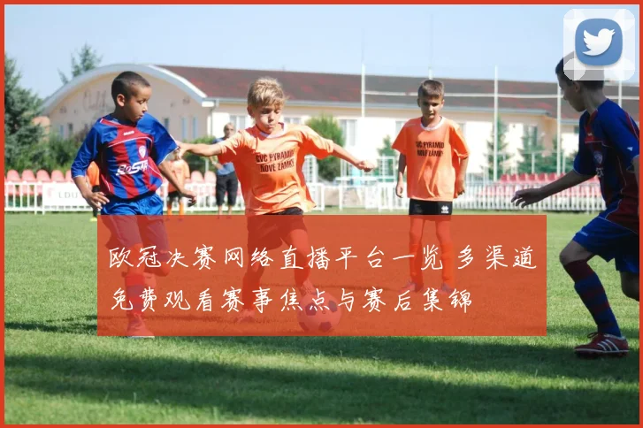 欧冠决赛网络直播平台一览 多渠道免费观看赛事焦点与赛后集锦
