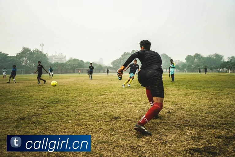 半岛综合官网平台生态图